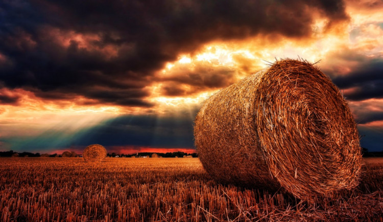 Muž shodil balík slámy na kolegu, toho musel do nemocnice transportovat vrtulník