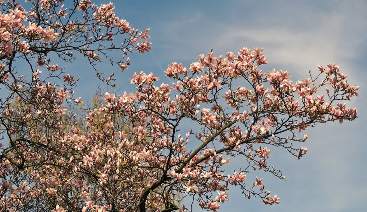 POČASÍ NA ČTVRTEK: Nejhůře polojasno a teploty nad dvacítkou