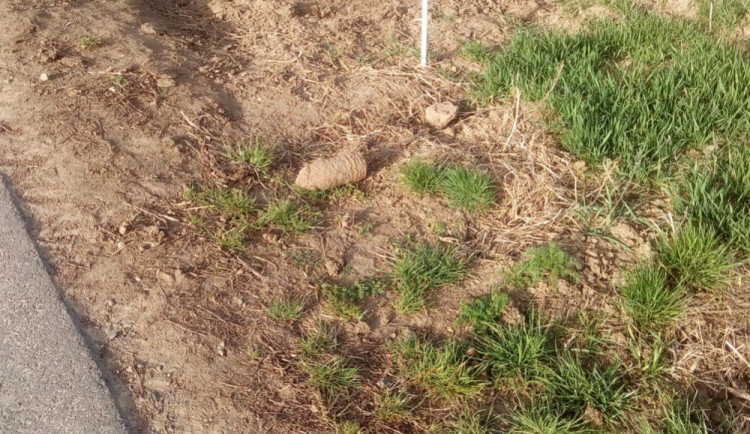 Muž našel protipancéřový dělostřelecký granát z druhé světové války