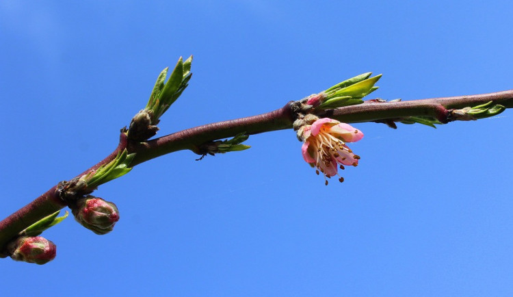 POČASÍ NA NEDĚLI: Nejvyšší teploty až na 25 stupních