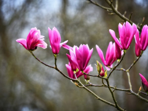 POČASÍ NA PONDĚLÍ: Přeháňky a teploty těsně pod dvacítkou