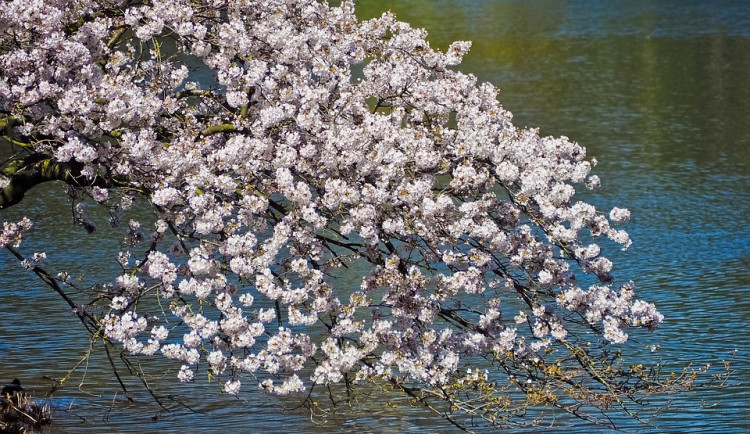 POČASÍ NA STŘEDU: Teploty na dvacítce a jasná obloha