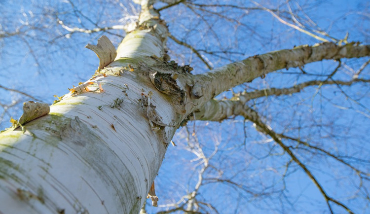 POČASÍ NA SOBOTU: Teploty až na šestadvaceti stupních a jasná obloha