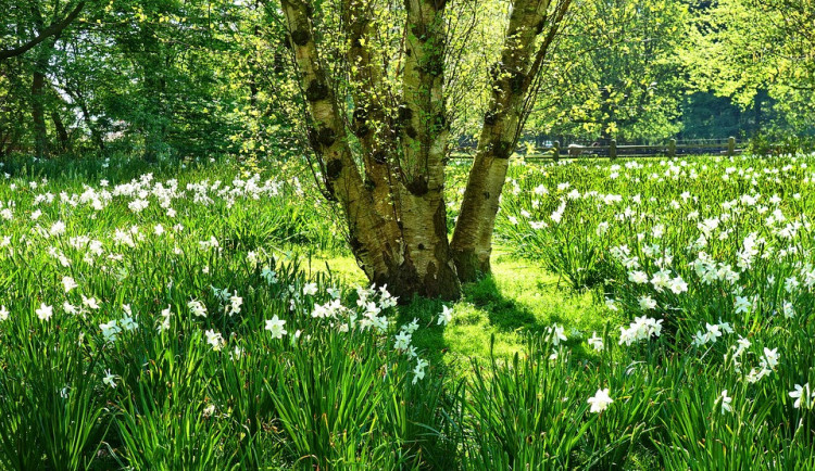 POČASÍ NA PONDĚLÍ: Teploty až na sedmadvacítce, během dne bude přibývat oblačnosti