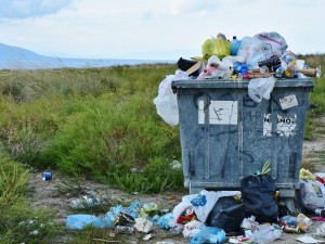 Dnes je Den Země, letos je zaměřen na boj proti plastovým odpadům