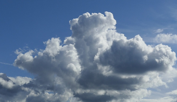 ilustrační fotografie