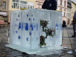 DSC_0907 (Kopírovat)