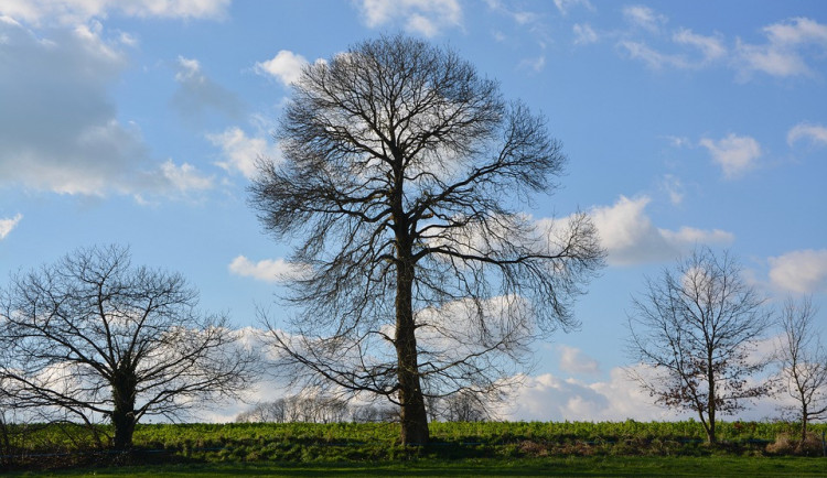 POČASÍ NA STŘEDU: Až šestadvacet stupňů, večer můžou přijít přeháňky