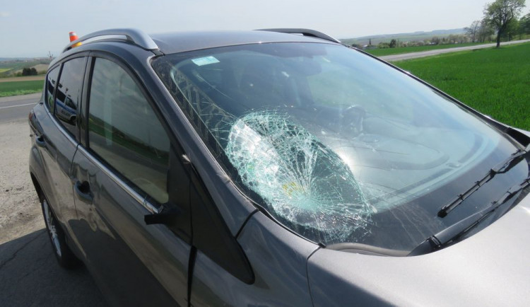 FOTO: Policisté ve středu zasahovali u dvou střetů auta se zvěří
