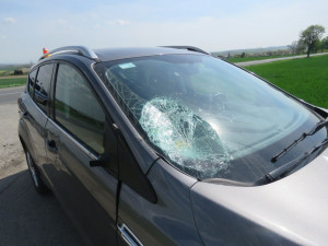 FOTO: Policisté ve středu zasahovali u dvou střetů auta se zvěří