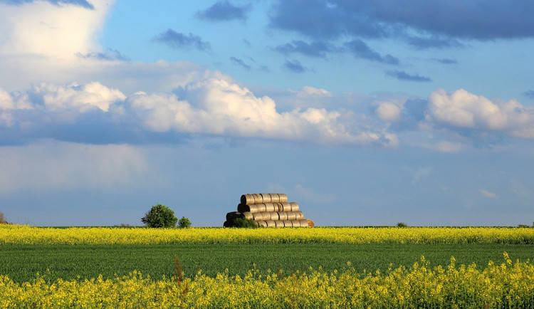 POČASÍ NA SOBOTU: Den jako z pohádky. Polojasno a až pětadvacet stupňů