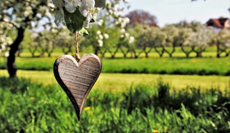 POČASÍ NA NEDĚLI: Skoro třicet stupňů a jasno