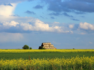 POČASÍ NA SOBOTU: Den jako z pohádky. Polojasno a až pětadvacet stupňů