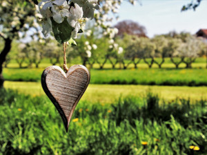 POČASÍ NA NEDĚLI: Skoro třicet stupňů a jasno