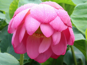 POČASÍ NA PÁTEK: Občas zaprší a naměříme třiadvacet stupňů