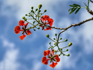 POČASÍ NA PONDĚLÍ: Teploty do třiadvaceti stupňů a k tomu jasná obloha