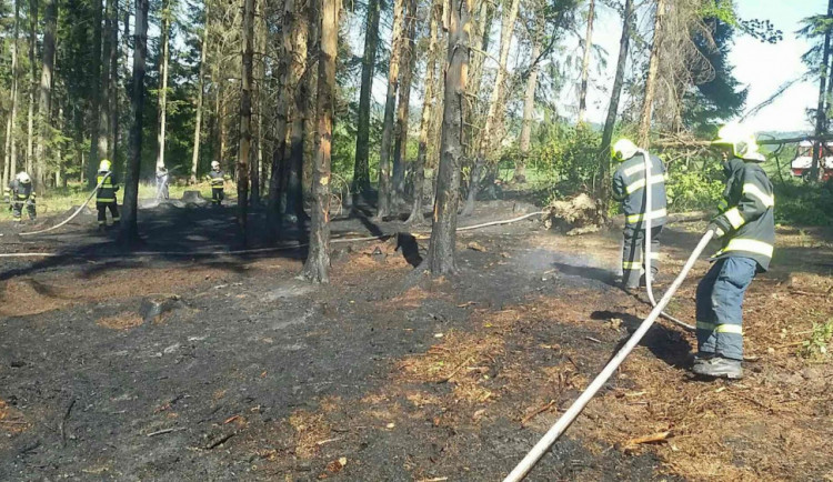 V lese u Heroltovic hořelo, hasiči měli plameny pod kontrolou za půl hodiny