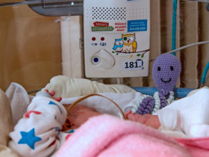 Dech novorozeňat v olomoucké porodnici bude hlídat pětadvacet nových přístrojů