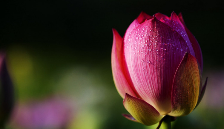 POČASÍ NA ÚTERÝ: Meteorologové hlásí většinou oblačno a teploty do dvacítky