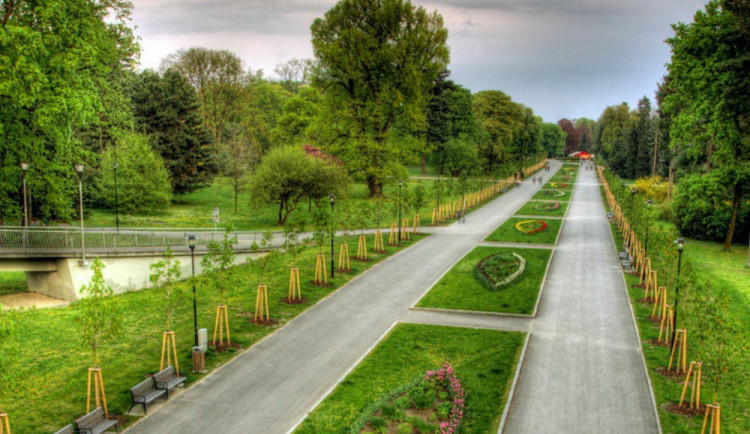 Lidé hlasují o nejkrásnější Alej roku. Olomouc zastupuje Rudolfova alej, nominovat ale můžete i další
