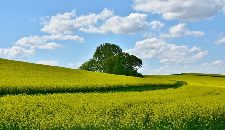 ilustrační fotografie