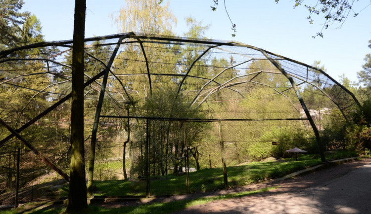 Voliéra v olomoucké zoo bude po rekonstrukci průchozí pro návštěvníky