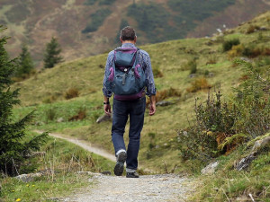 Zkrácení cesty přes pole nebo táboření uprostřed lesa. Za co vše hrozí turistům v přirodě pokuta?