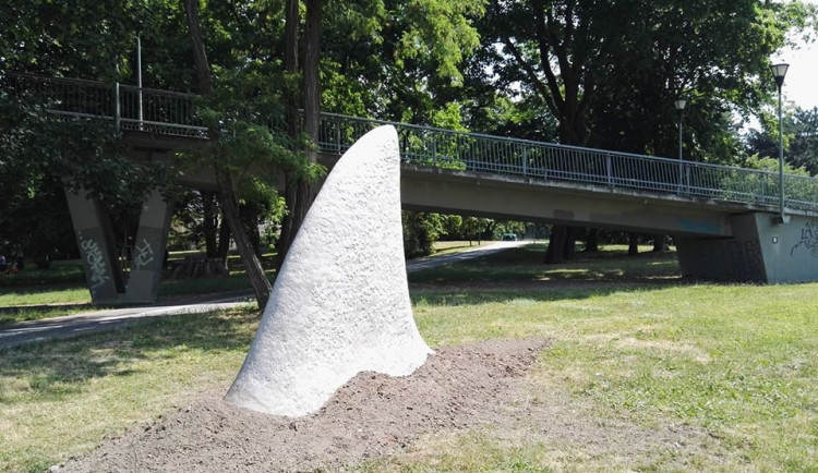 ANKETA: Ve Smetanových sadech se trávníkem prohání žralok. Líbí se vám tato nová socha?