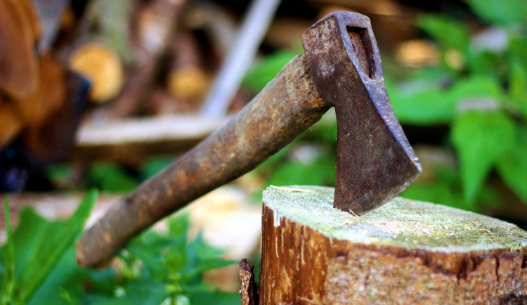 Muž v Pavlovičkách sekl ženu sekerou do hlavy, strážníci ho našli, jak se schovává v křoví