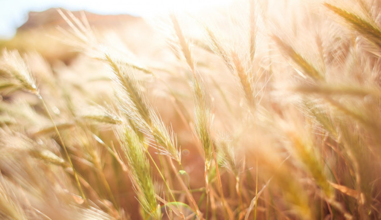 POČASÍ NA ČTVRTEK: Čekáme jasno nebo polojasno a osmadvacet stupňů