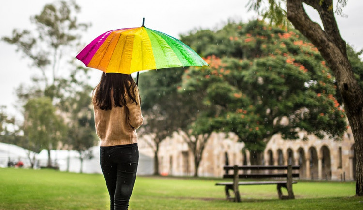 ilustrační fotografie