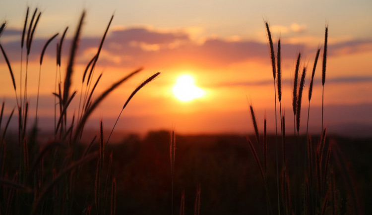 POČASÍ NA PONDĚLÍ: Čeká nás tropický pracovní den
