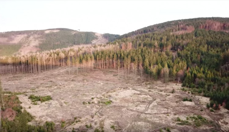 VIDEO: Snímky, z kterých mrazí. Dron se proletěl nad zdevastovanými jesenickými lesy kůrovcem