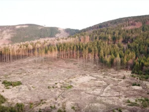 VIDEO: Snímky, z kterých mrazí. Dron se proletěl nad zdevastovanými jesenickými lesy kůrovcem