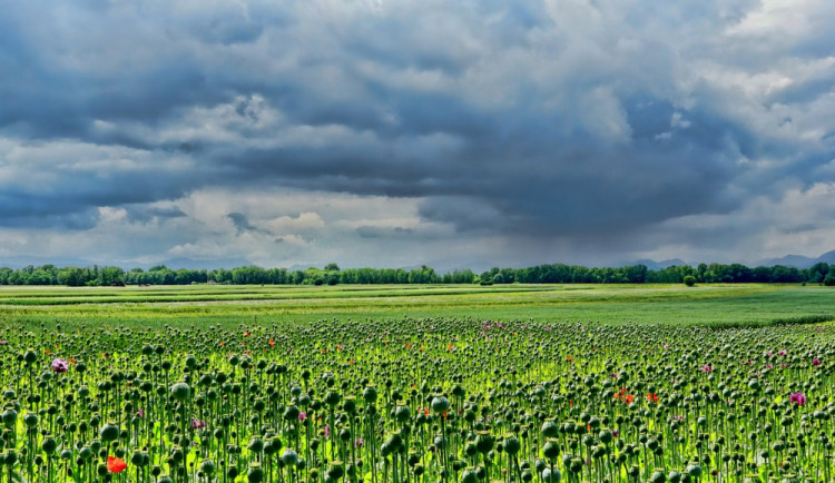 POČASÍ NA ÚTERÝ: Oblačno, místy polojasno a až osmadvacet stupňů