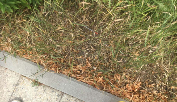 Jen za červen už strážníci sesbírali po Olomouci 182 kusů použitých injekčních stříkaček