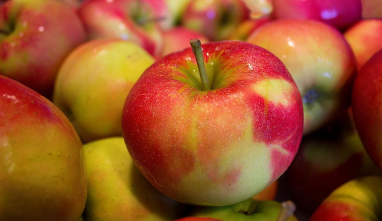 Jablka v červnu stála zatím nejvíce v historii, za kilogram zaplatili lidé přes 43 korun