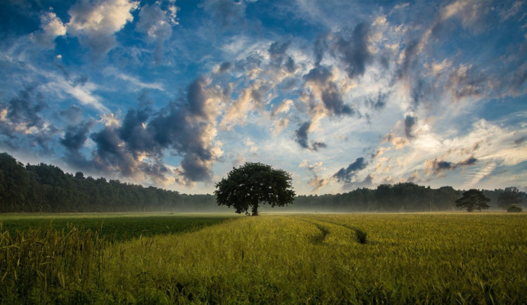 POČASÍ NA NEDĚLI: Dvacet stupňů a polojasno