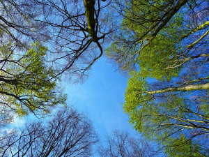 POČASÍ NA PONDĚLÍ: Teploty kolem dvacítky, pršet by nemělo