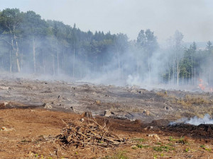FOTO: Sedm požárů během jednoho dne. Hořel přístřešek, les, odpad nebo tráva u popelnic