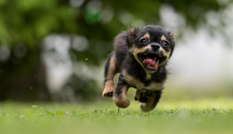 POČASÍ NA NEDĚLI: Sedmadvacet stupňů, ale s přeháňkami