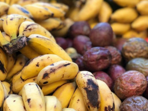 V areálu Letního kina se bude ochutnávat exotické ovoce, Virunga doveze annony, dračí ovoce i jackfruity
