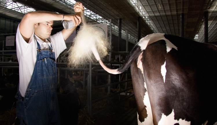 Fotofestival Uničov nabídne o tomto víkendu šest vernisáží, letošním tématem je fauna