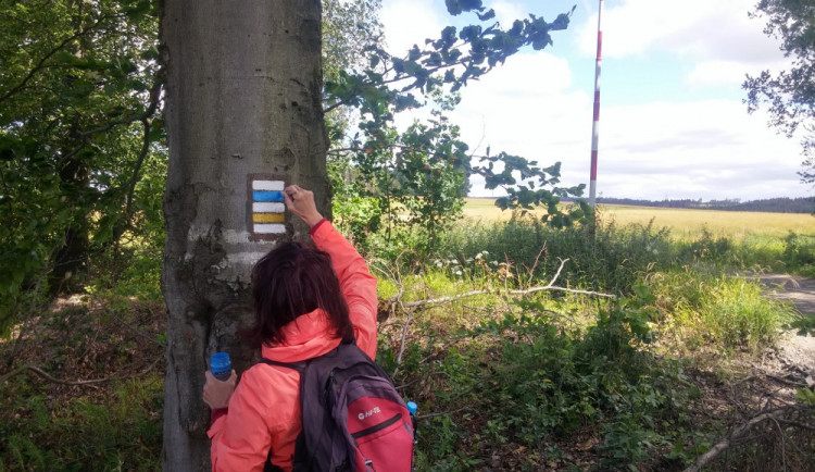 Turistické značení zničil kůrovec, kraj dá na obnovu značek 780 tisíc korun