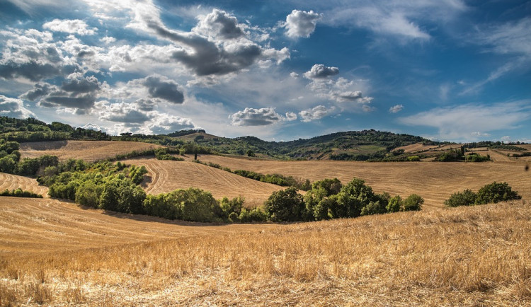 Následující čtyři týdny bude podle meteorologů kolem pětadvaceti stupňů, pršet bude málo