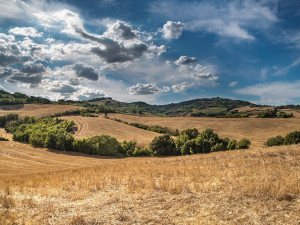 Následující čtyři týdny bude podle meteorologů kolem pětadvaceti stupňů, pršet bude málo