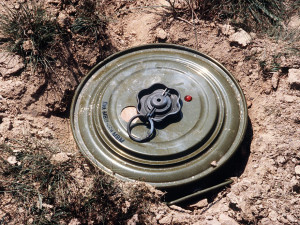 Muž našel při sečení trávy na zahradě protitankovou minu