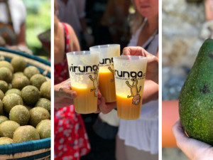 FOTOGALERIE: Jackfruit, baby banány nebo drink z cukrové třtiny. Olomoučané v neděli ochutnávali Afriku