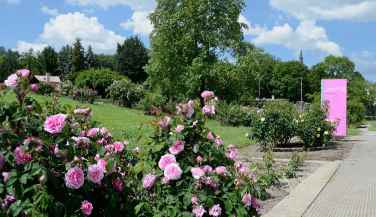 V rozáriu se vybuduje nový mobiliář. Bude stát 1,7 milionu korun