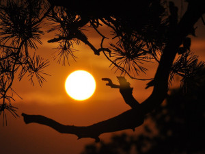 POČASÍ NA ÚTERÝ: Třicítky a polojasná obloha